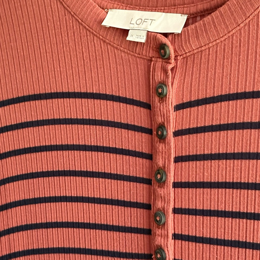 LOFT Striped Navy and Beige Dress